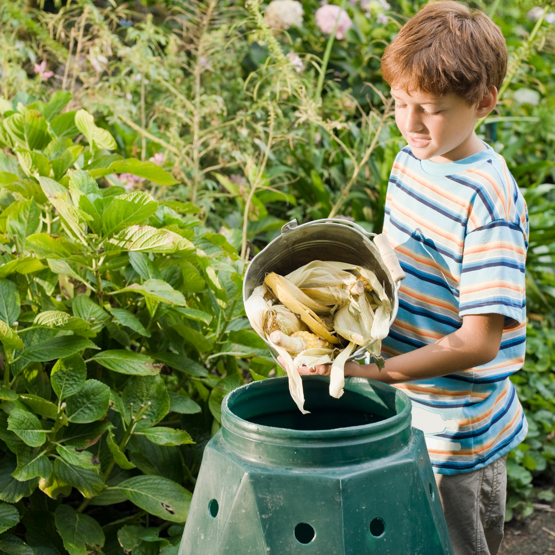 小男孩把蔬菜放在堆肥里