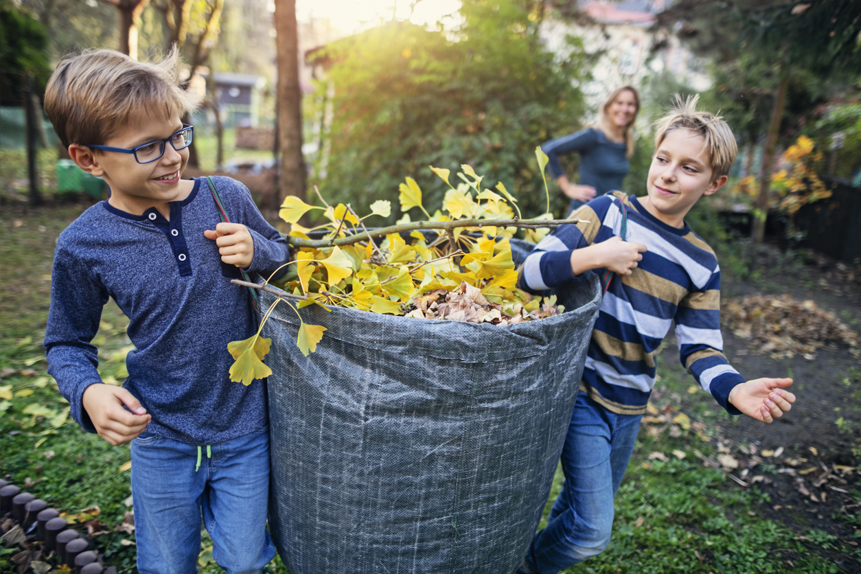 两个10岁的男孩背着一袋秋天的树叶做堆肥。